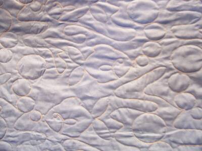 Carolyn Page, Sponge Bob Quilt back with fish motif
