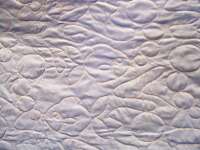 Carolyn Page, Sponge Bob Quilt back with fish motif