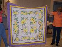 Paula Mooney, Painted Daisy