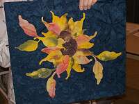 Marlene Jensch, Painted Flower (sun painting)