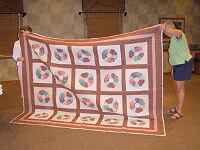 A third Joy Reynold's Quilt (Just another very busy Chatham Quilter)